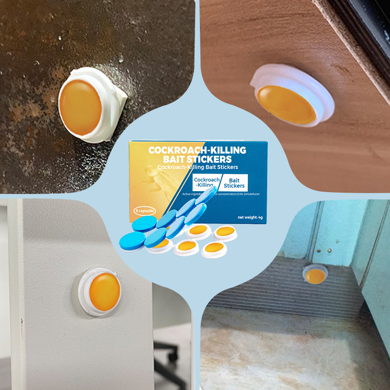 💥Stickers-appâts anti-cafards (mortels) 🔥🔥
